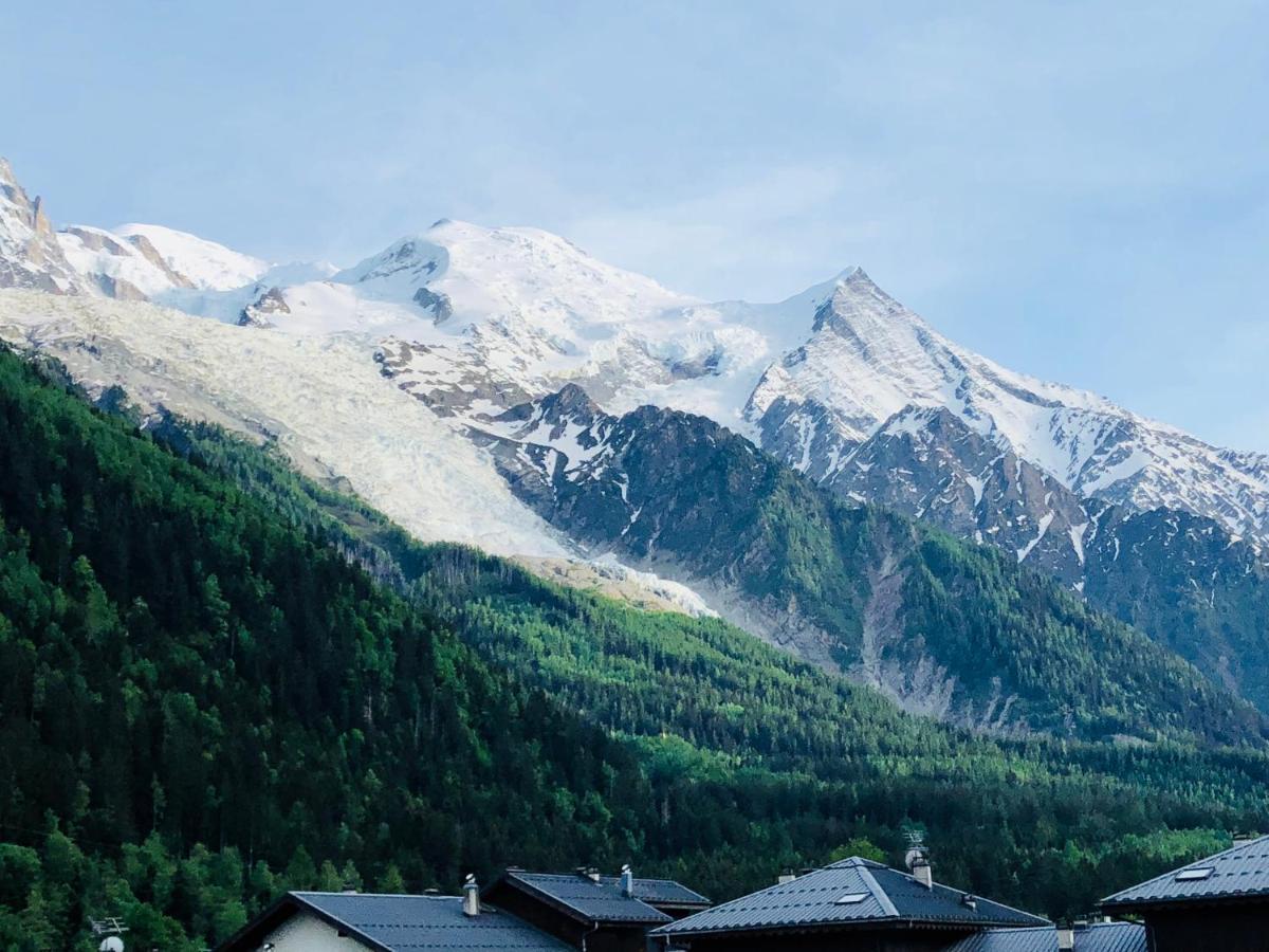 Mont Blanc 43, Vue Mont Blanc , Balcon, Parking Apartamento Chamonix Exterior foto