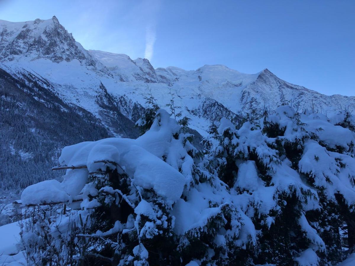 Mont Blanc 43, Vue Mont Blanc , Balcon, Parking Apartamento Chamonix Exterior foto